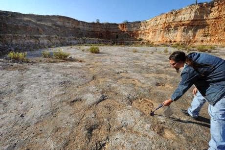 L'ampia area di Lama Belice ricca di orme di dinosauro
