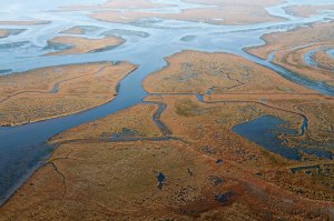 Canali e barene nella laguna di Venezia