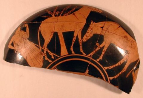 Frammento di ceramica greca al museo di Adria