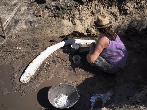 grosseto_poggetti_vecchi_resti_elefante_3