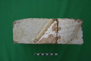 Il frammento da Tol-e Ajori di un mattone invetriato con rilievo figurato