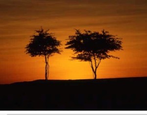 Chi siamo: immagine di Giovanni Porzio