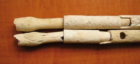 Gli "auloi" di Paestum messi a disposizione di Rafanelli e Cantini