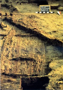 Lo scavo della barca romana di Corte Cavanella a Loreo in Polesine