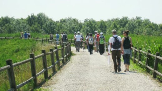 Laboratorio di archeologia del paesaggio tenuto ad Altino (Ve)