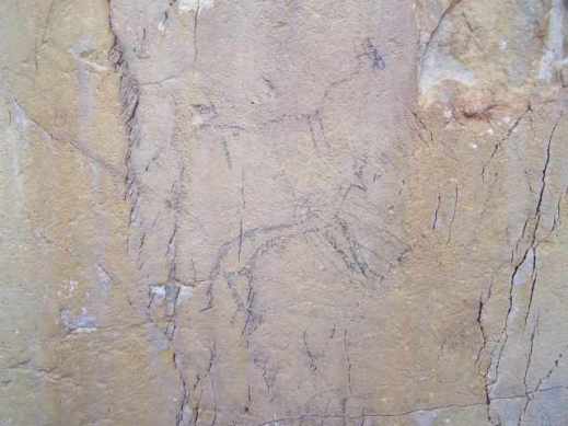 Una figura zoomorfa (cervide) sulla parete del riparo sotto roccia Morricone del Pesco