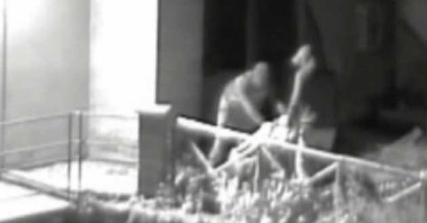 Le telecamere della videosorveglianza hanno ripreso il furto della Sfinge etrusca alata