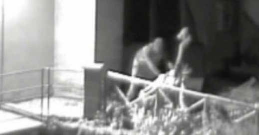 Le telecamere della videosorveglianza hanno ripreso il furto della Sfinge etrusca alata