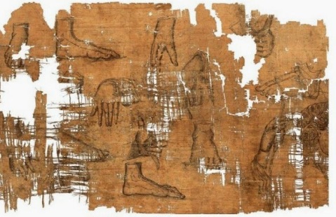 Sul recto del Papiro numerosi disegni di parti anatomiche (verosimilmente copie di parti di statue)