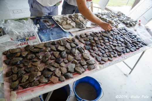 Giù in questa prima campagna di scavo ufficiale sono molti i reperti restituiti dalla terramara di Pilastri