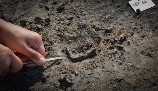 La terramara di Pilastri ha restituito frammenti di ambra che rimanda al mito padano di Fetonte, Eridano e le Eliadi