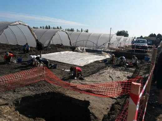 Il fondo Verri di Pilastri di Bondeno dove si sta scavando una terramara del Bronzo medio e recente 