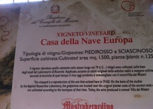 Il cartello del vigneto della Casa della Nave Europa a Pompei