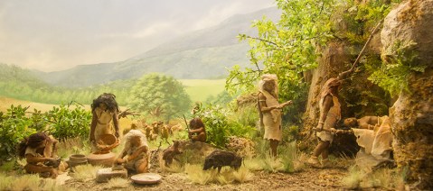 La ricostruzione dell'ambiente dove viveva l'uomo preistorico nell'area del Monte Cetona