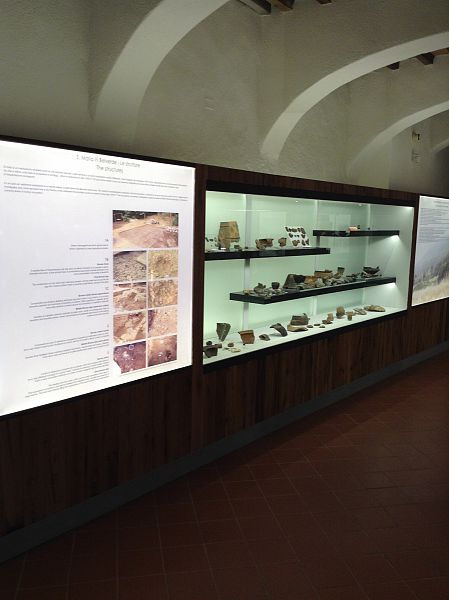 Il moderno allestimento del museo Paleontologico ricco di informazioni