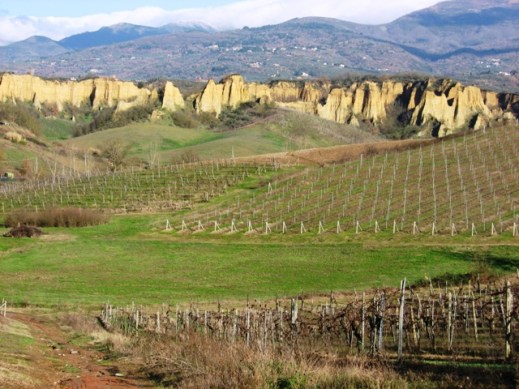 Il paesaggio del Valdarno superiore ben diverso da quello di tre milioni di anni fa 