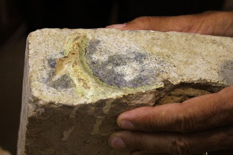 Alireza Askari Chaverdi mostra un frammento di mattone invetriato con figure trovato a Tol-e Ajori (Iran)