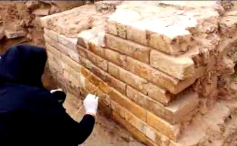 Lo scavo di Tol-e Ajori, in Iran, vicino a Persepoli, ha portato alla scoperta di mattoni invetriati dipinti e a rilievo