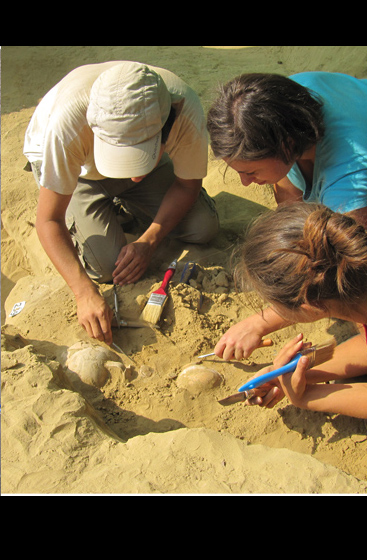 L'equipe coordinata da Elisabetta Borgna ha scoperto tombe micenee inviolate a Eghion el Peloponneso Occidentale