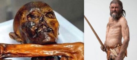 Oetzi, la mummia del Similaun, e una sua ricostruzione al museo di Bolzano