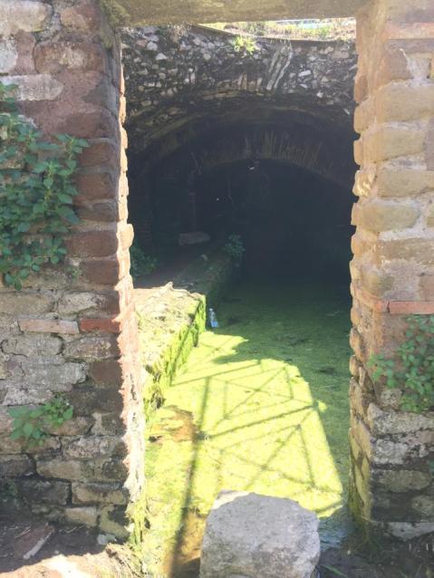 Il fango impedisce l'accesso al mitreo delle terme di Mitra a Ostia antica: colpa della falda acquifera