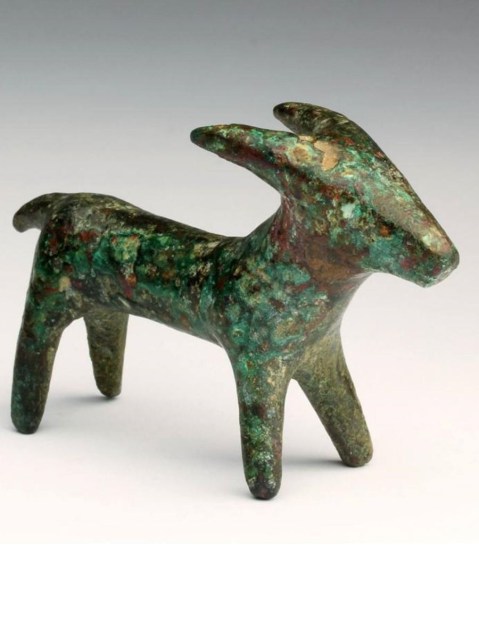 Il muflone "salvato" dalla dispersione e riportato sull'isola grazie alla fondazione Numet