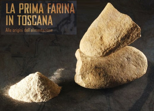 A Firenze la mostra “30.000 anni fa la prima farina. Alle origini dell'alimentazione” 