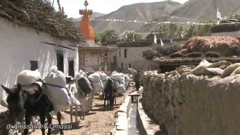 "Mustang, il regno nascosto", film di Patrice Landes, in programma a Rovereto