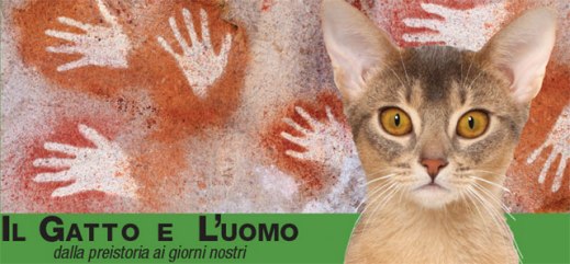 "Il Gatto e l'Uomo", la mostra aperta alla Gran Guardia di Verona fino al 29 novembre