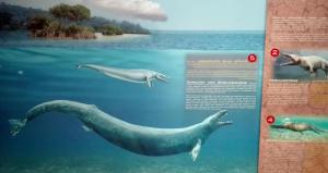 Uno dei pannelli illustrativi del museo