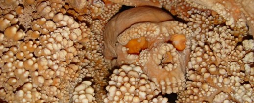 L'Uomo di Altamura, fossile di Homo neanderthalensis trovato nel 1993 nella grotta di Lamalunga nelle Alte Murge