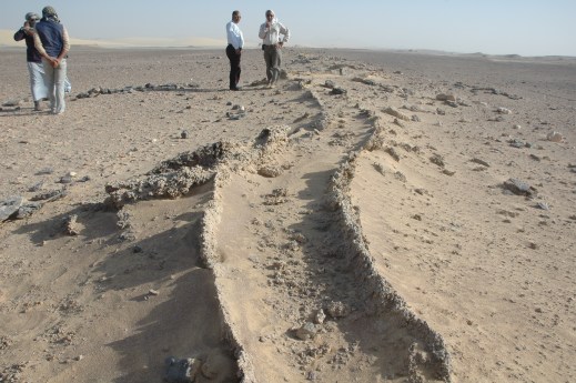 Traccia delle canalizzazioni realizzate nel Tardo impero romano per irrigare quest'area di deserto