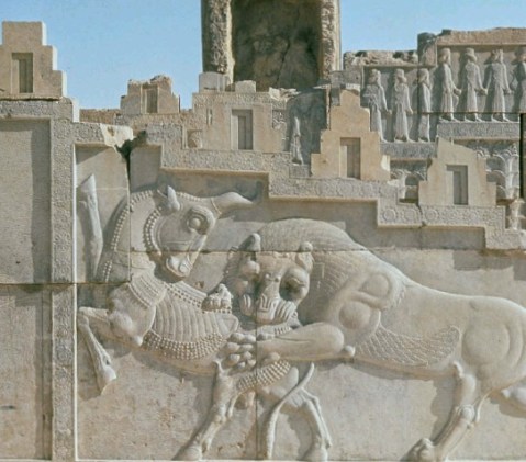 Il leone che azzanna il toro: rilievo achemenide a Persepoli in Iran