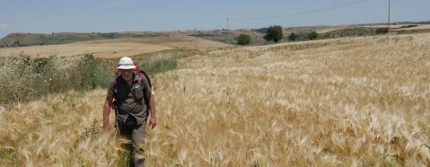 Lo scrittore giornalista Paolo Rumiz ripercorre il tracciato della via Appia (foto Alessandro Scillitani)