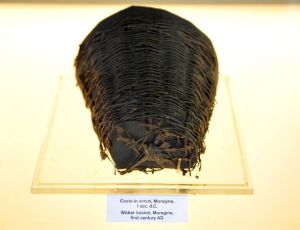 Una vetrina con reperti organici in mostra nella Palestra grande di Pompei