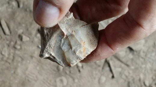 Uno strumento in selce lavorato dall'uomo preistorico trovato nella grotta di Batu Hapu nel Borneo