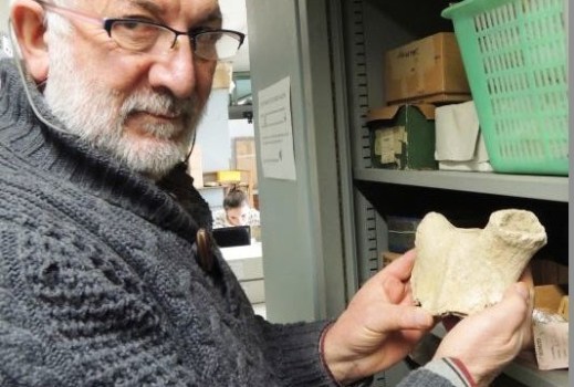 Il prof. Fabio Martini, archeologo preistorico dell'università di Firenze