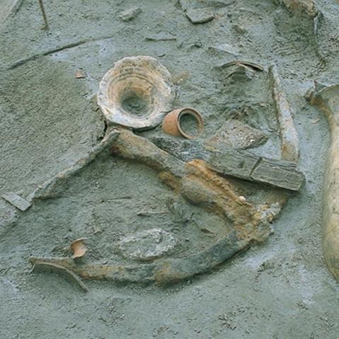 Un'anfora in corso di scavo visibile in uno dei padiglioni del Museo delle Navi Antiche di Pisa