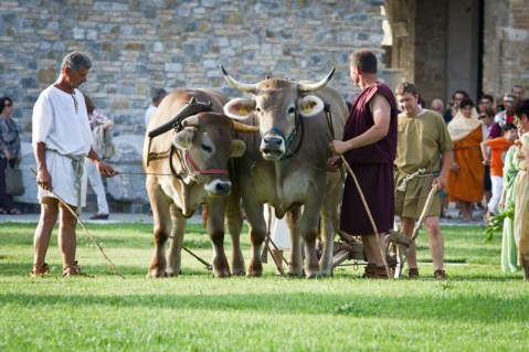 aquileia_tempora_contadini