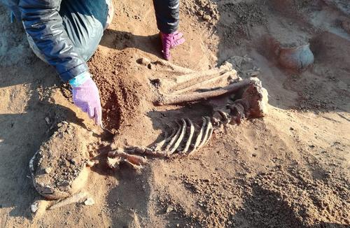 nogarole-rocca_necropoli-tra-campaniforme-ed-eta-del-bronzo_foto-sabap-vr