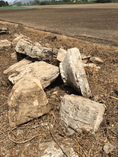 paestum_Resti-tempietto-arcaico