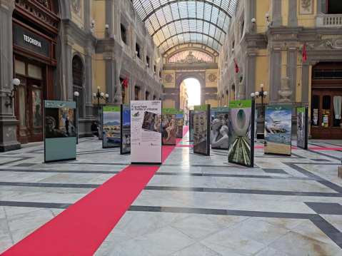 napoli_galleria-principe-di-napoli_mostra-fuga-dal-museo_foto-mann