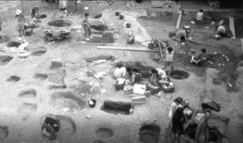 verona_Mostra-italia-90-1_scavo-necropoli-porta-palio_1_foto-sabap-vr