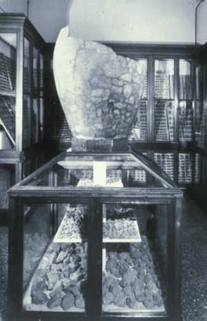 bologna_Archeologico_Ripostiglio_San_Francesco_foto-bologna-musei