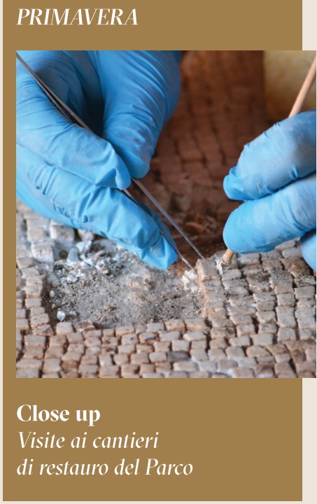 ercolano_programma-pluriennale_primavera-close-up_foto-paerco