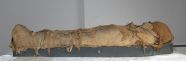 Fino Al 3 Settembre Al Museo Civico Archeologico Di Bologna Cantiere Di 