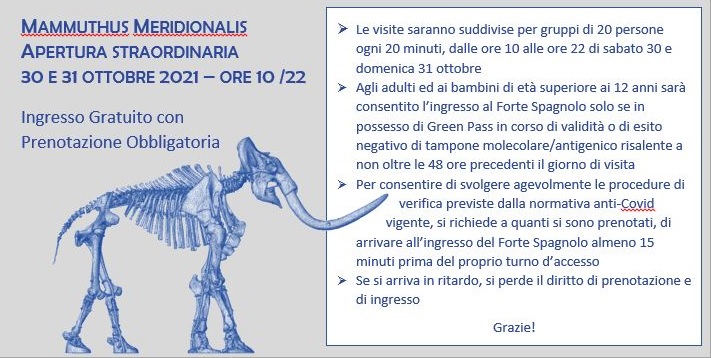 aquila_museo-castello_Mammuthus meridionalis_pannello