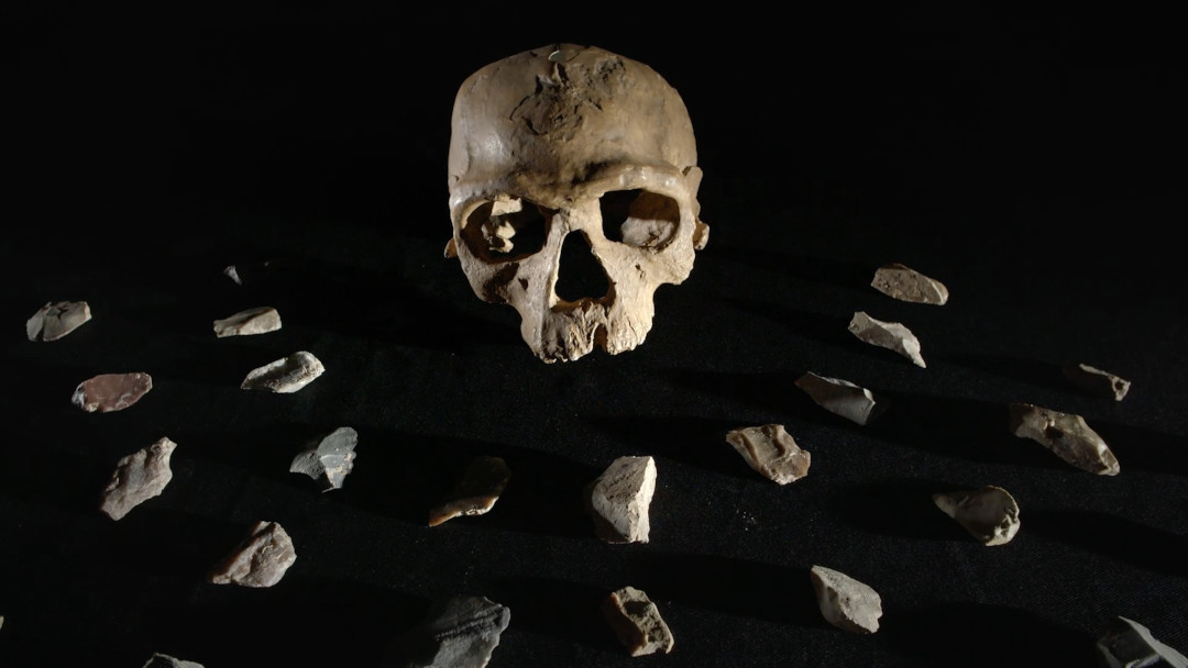 film_Homo-Sapiens_di-olivier-julien