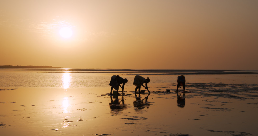 film_Queens-Of-Orango_di-Raúl-Bueno-Herrera