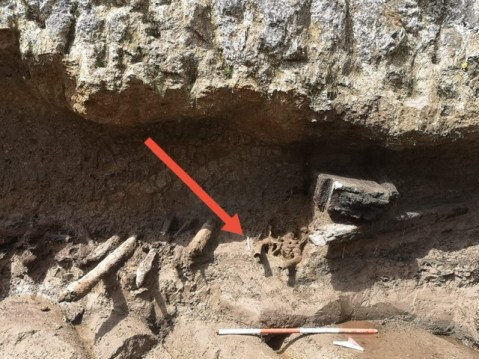 ercolano_antica-spiaggia_scoperta-ultimo-fuggiasco_scavo-sotto-parete-lavica_1_foto-sirano_paerco